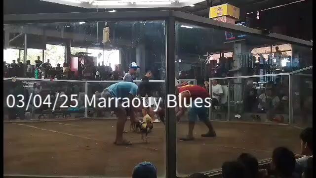 Marraouy Blues Ownblend Draw @ Muntinlupa Cockpit