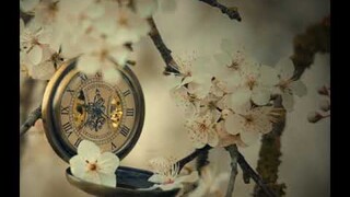 Fleeting Time For A Flower