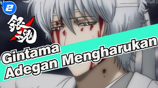 [Gintama] Awas! Adegan yang Mengharukan (Kisah Empat Deva & Kisah Pelac*r Bangsa_2