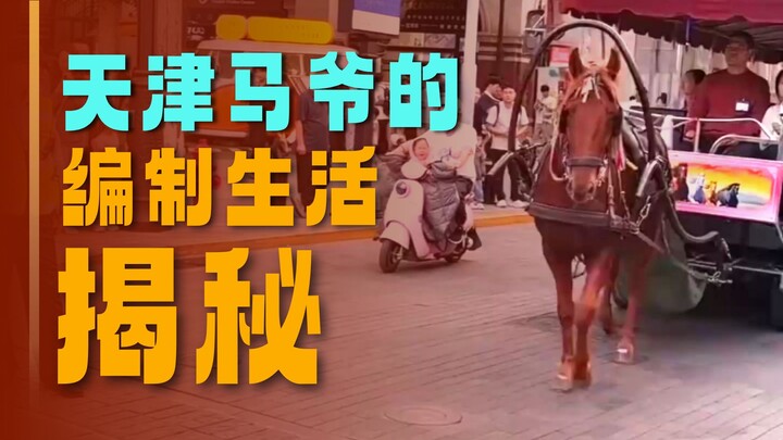 The Horse Pulling a Carriage on Tianjin’s Fifth Avenue: You Should Worry About Yourself First!