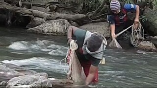 Cast Net Fishing in Nepal | Himalayan Trout Fishing in Nepal | Asala Fishing in Nepal |