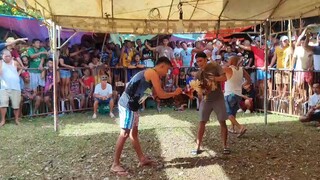 Intat Gamefowl 004