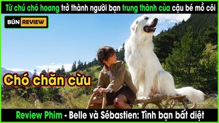 Cậu bé tình cờ gặp chú chó hoang và trở thành bạn bè thân thiết - REVIEW PHIM: Belle và Sébastien