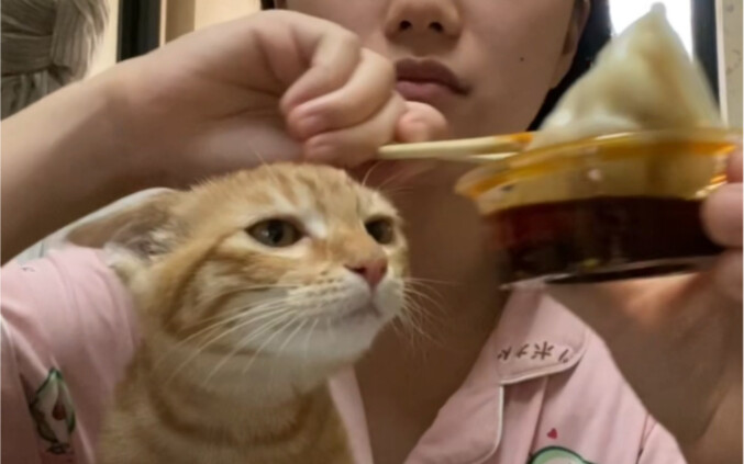 Nhân thịt lợn cải thảo cực kỳ “sát thương”