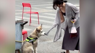 Thì ra động vật cũng vô đạo đức