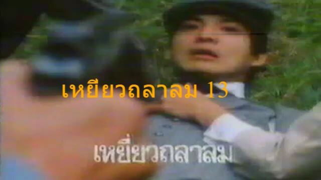 เหยี่ยวถลาลม13