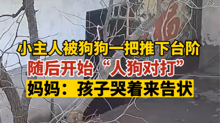 27 Februari, Jinzhong, Shanxi. Sang pemilik kecil berdiri di tangga lalu didorong jatuh oleh anjingn