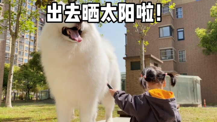 冲呀，出去晒太阳啦！