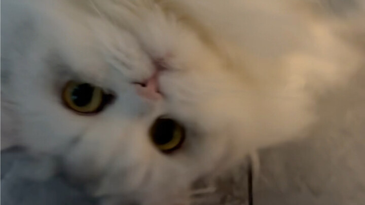 Nih, lihatin film fiksi ilmiah buat kalian!