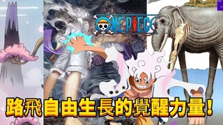 海贼王专题#1255：乔伊波伊路飞自由生长的觉醒力量！