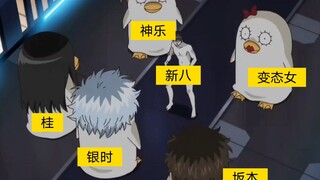 新八没有服装，被嫌弃了