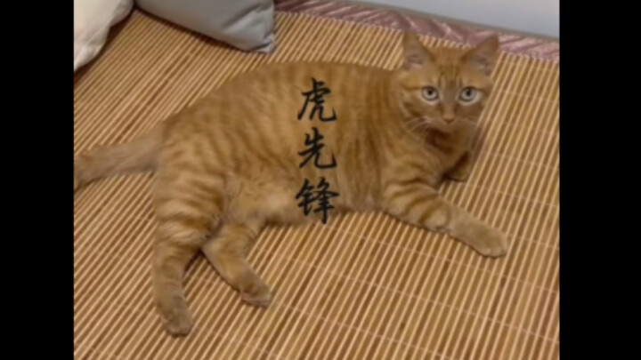 Kalau aku kalah dari Penjaga Harimau, masak aku juga kalah darimu?