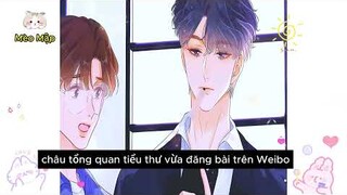 Review Truyện :Bá tổng bị ép cưới em gái  làm vợ ,vậy mà lại vui vẻ hạnh phúc chờ mong