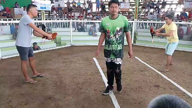 empelat silat line by uboss dens el quitaz gamefarm