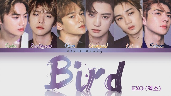 [EXO] Lirik lengkap single terbaru Jepang “BIRD”