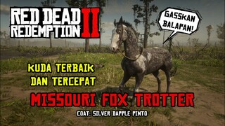 Mendapatkan Salah Satu Kuda Terbaik di RDR 2 Missouri Fox Trotter  -Tutorial Indonesia