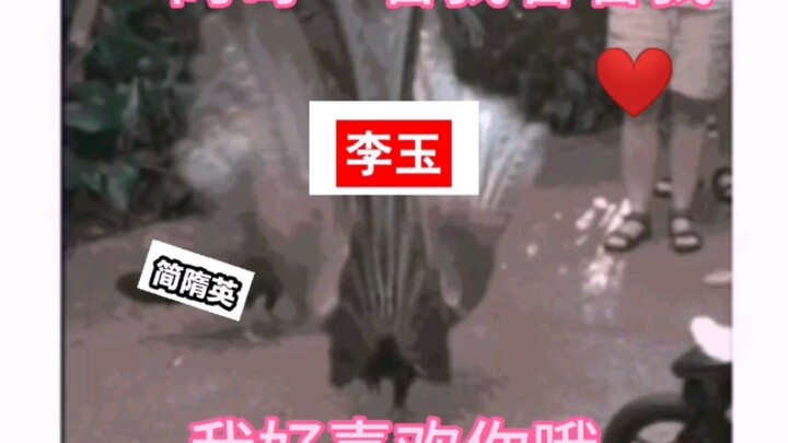 เจี้ยน สุ่ยอิง: ไม่ได้นัดนะ อย่ามายืนขวางทางล่ะ!