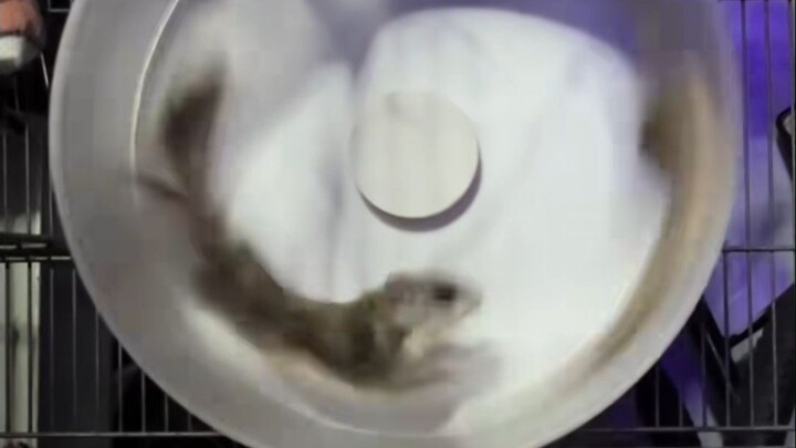 Ban-ban itu hampir kering sampai keluar asap…