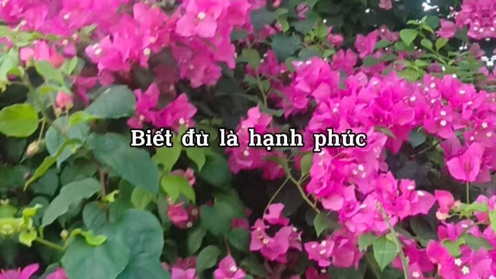 cảnh đẹp thiên nhiên