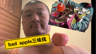 满足粉丝要求三味线bad apple
