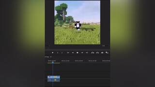 Chán cái bông hoa 🤣 minecraft xuhuong fyp toanmc OpenDoorDance MagicBomb TiengHetDangYeu TVSHOWHAY