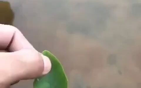 เรือเล็กที่ขับเคลื่อนด้วยน้ำมันจากปากกาลูกลื่น คงเคยเล่นกันมาแล้วใช่ไหม?