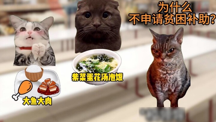 Lãnh đạo nhà trường thấy tôi ăn uống quá đạm bạc, họ tưởng tôi là học sinh nghèo.