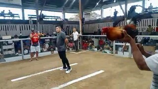 pila colisium win 10