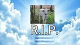 rip cow