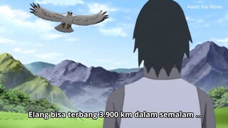 Boruto episode 275 sub indonesia full terbaru belum rilis ? Simak dulu alur cerita Episode 274 !