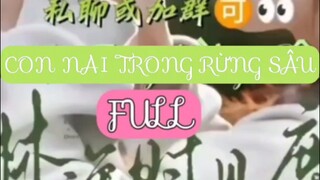 Con Nai Trong Rừng Sâu ( Trương Kế Quân ) Full