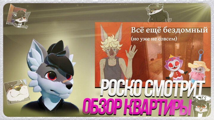 🐺 Роско смотрит Kutabare - Всё ещё бездомный, но не совсем где и как живу, новые успехи и неудачи
