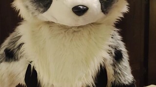 兽人版！！回家的诱惑~！准备迎接520吧！