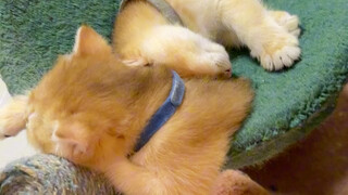 How should I describe you!