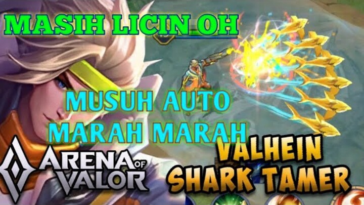 Masih Licin main game AOV. Walaupun sudah 3 bulan tidak main.