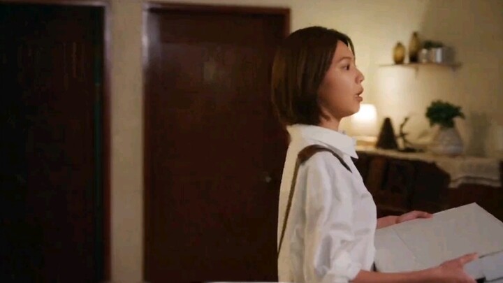 เมื่อผู้หญิงคนหนึ่งกลับถึงบ้านหลังเลิกงาน เธอบังเอิญบังเอิญไปเจอแม่ของเธอที่กำลังดูหนังยุโรปและอเมริ