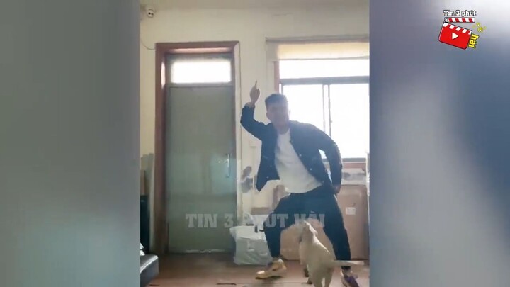 Đang nhảy thì con chó nó ...