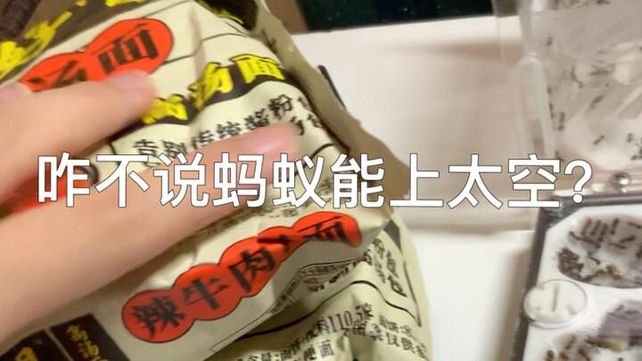 Mì ăn liền Bạch Tượng mà lại nhặt được con kiến thì điên rồ đến mức nào… Sao không nói luôn là kiến 