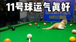 Bola nomor 11 masuk ke dalam saku dengan sedikit keberuntungan.