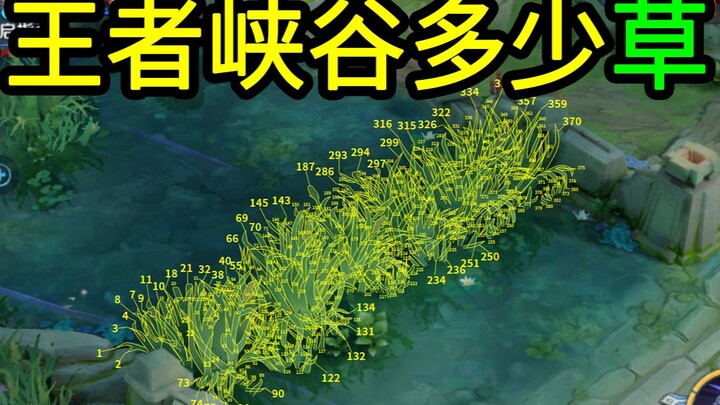 มีคนนับจำนวนต้นหญ้าในหุบเขาคิงส์แล้วจริงๆ ด้วยเหรอ?!