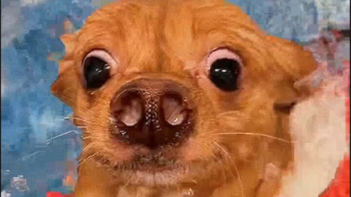 Hani’s Epic Pool Photoshoot