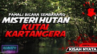 MISTERI PAMALI SEMBARANG BERBICARA DI HUTAN KUTAI KARTANEGARA ☆ CERITA MISTERI