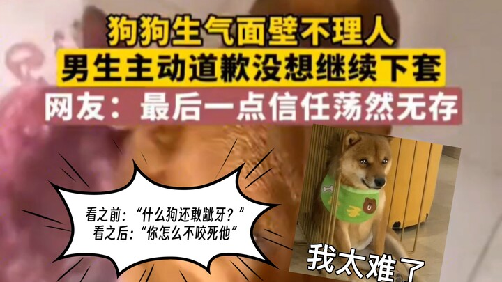 الكلب غاضب ويواجه الحائط ولا يهتم بالآخرين