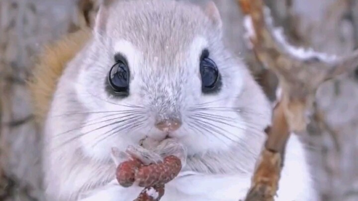 Tag orang termanis di dunia untuk lihat ini!