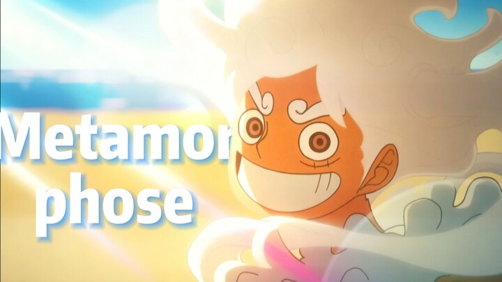 [One Piece MAD] metamorphosis | Transformation