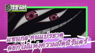 [แขนกล คนแปรธาตุ]แค่เบิกบาน,ดอกไม้แห่งความมืดนิรันดร์