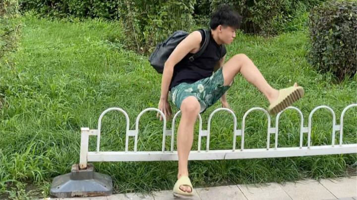 The Story of a Single Apricot