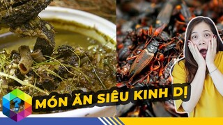 Rùng Mình 12 Món Đặc Sản Siêu Bẩn Chỉ Có Ở Trung Quốc - Top 1 Khám Phá