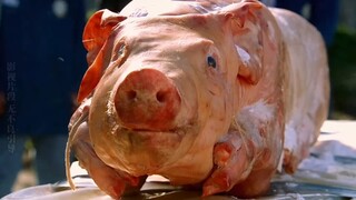 高分下饭神剧《识骨寻踪》