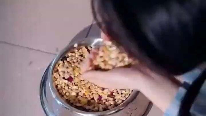 Nữ Tỷ Phú Giả Nghèo Thử Lòng Chồng, Nào Ngờ Bị Ép Ăn Cơm Chó Liền Khiến Cả Nhà A